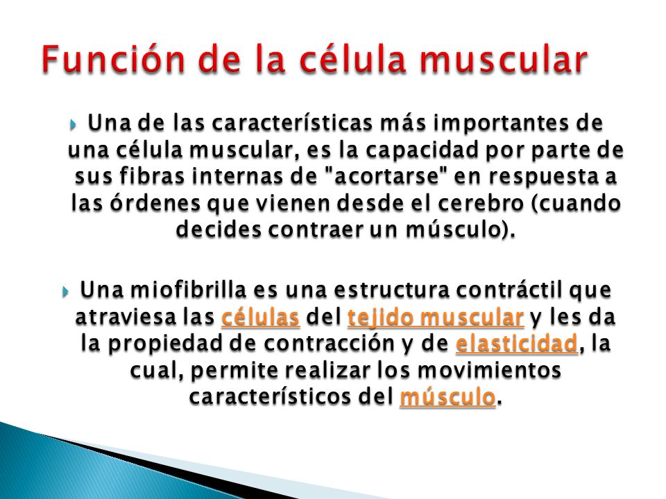 Introducción